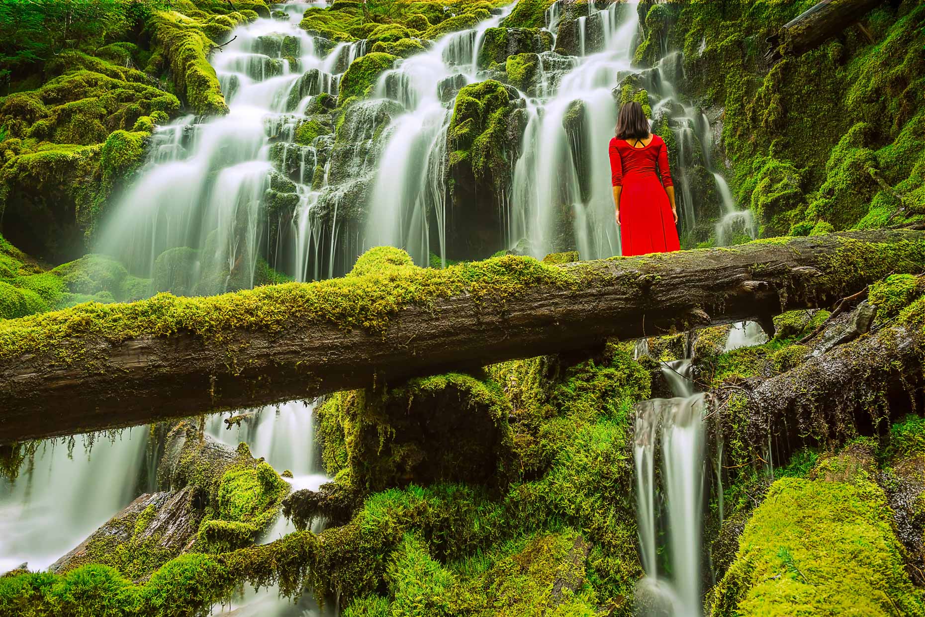 Lady in Red, Proxy Falls
