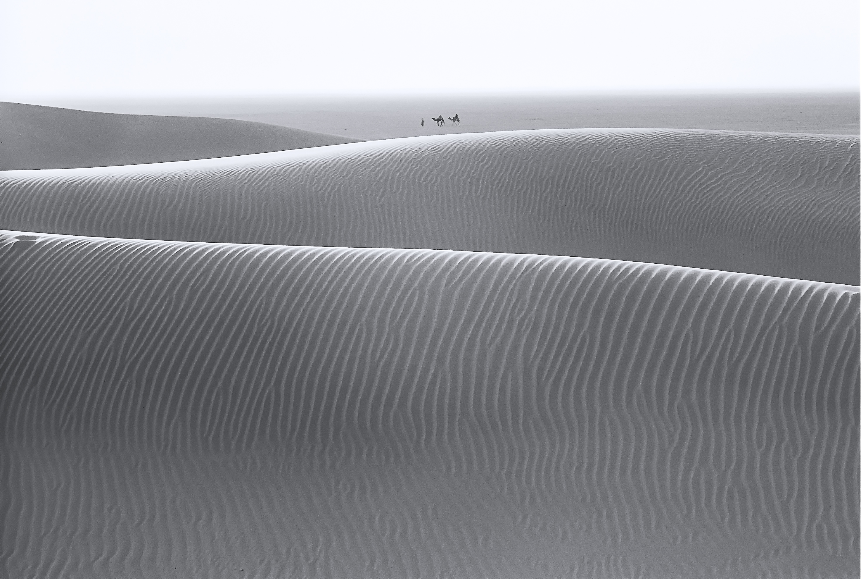 Sand Waves